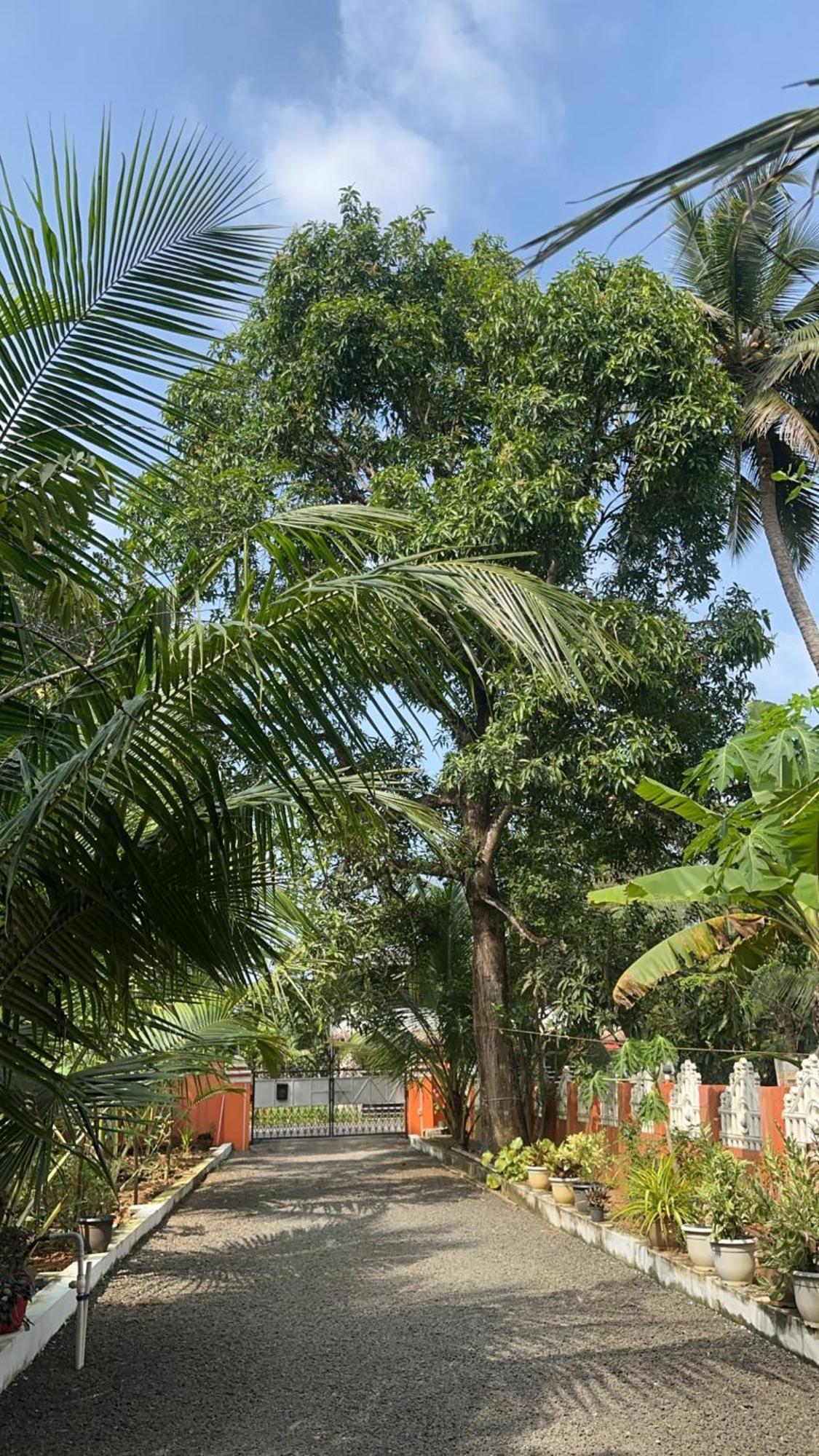 Prabhalayam Διαμέρισμα Kottayam Εξωτερικό φωτογραφία